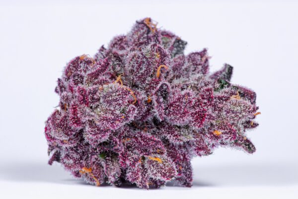 Grandi Candi by Grandiflora Genetics Thailand cannabis seeds