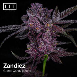 Zandiez - LIT Farms. SeedTopia Cannabis seed bank Thailand