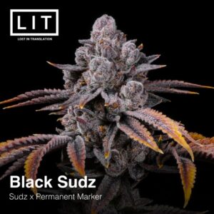 Black Sudz – LIT Farms