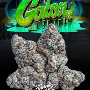 Gator Breath - Jungle Boys